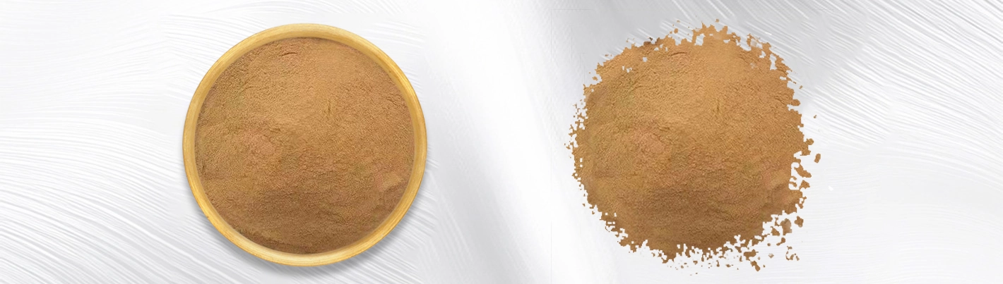 Euryale ferox extract