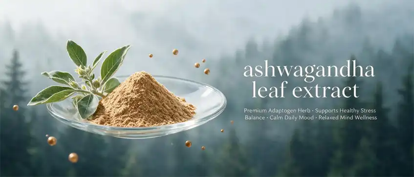 ashwagandha leaf extract ashwagandha leaf extract