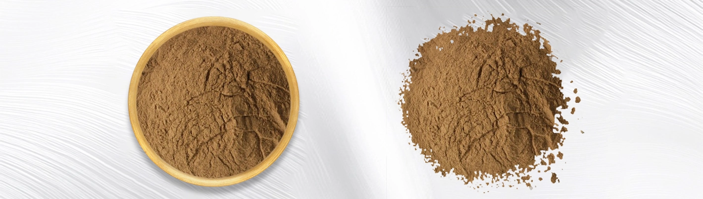 Prunus persica kernel extract