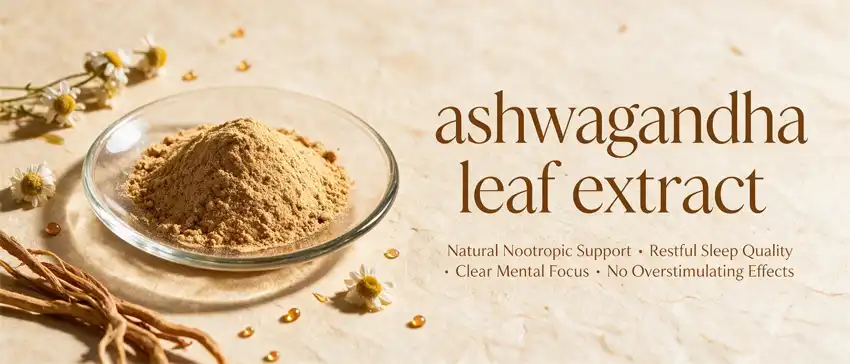 ashwagandha leaf extract ashwagandha leaf extract
