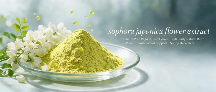 sophora japonica flower extract