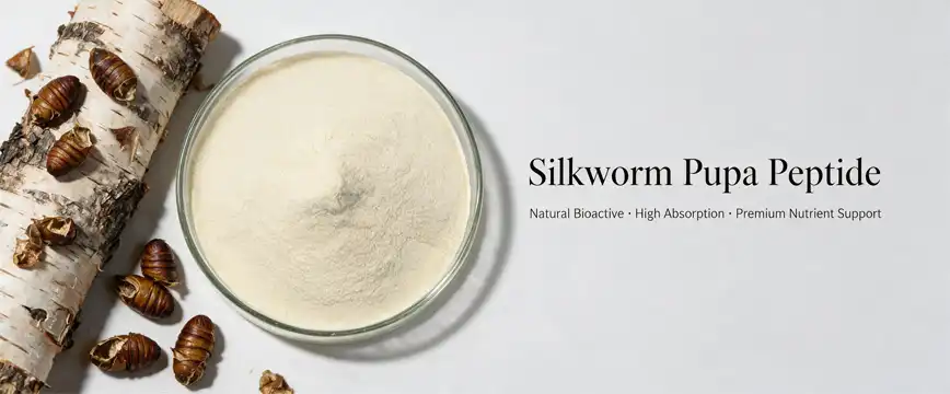 silkworm pupa peptide