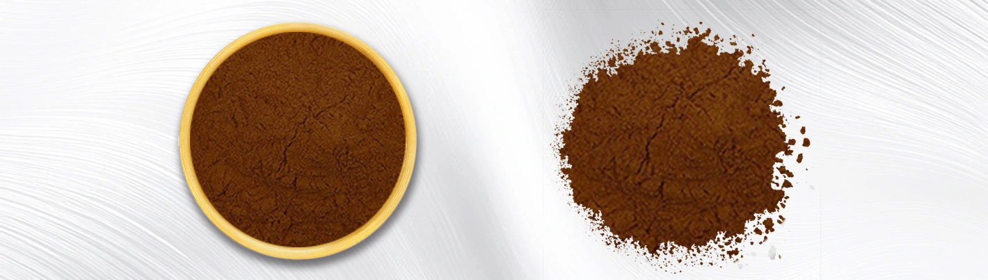 Fulvic Acid Powder Shilajit Extract