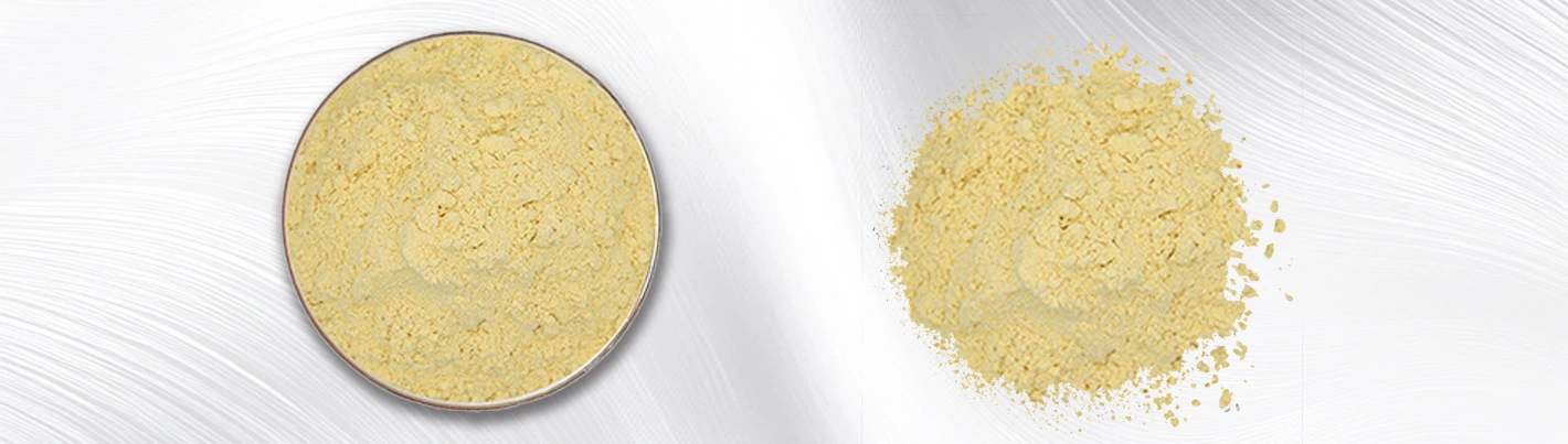 Broccoli extract powder Broccoli extract powder