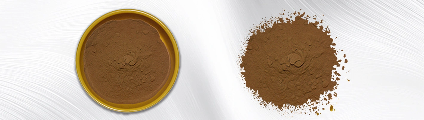 Miltiorrhiza Root Extract Powder Miltiorrhiza Root Extract Powder
