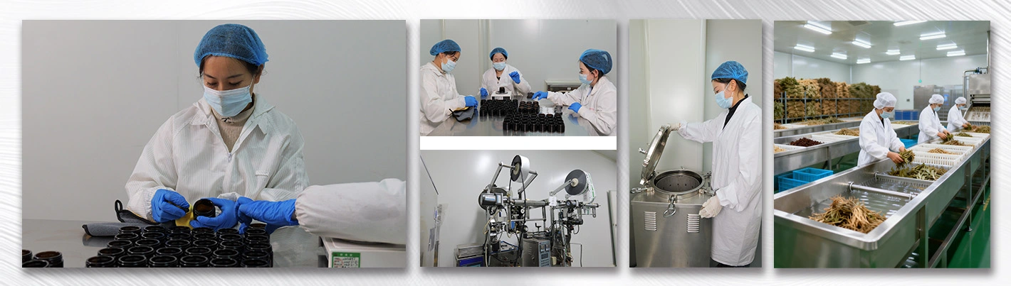 Yacon Root Extract Why Choose Us