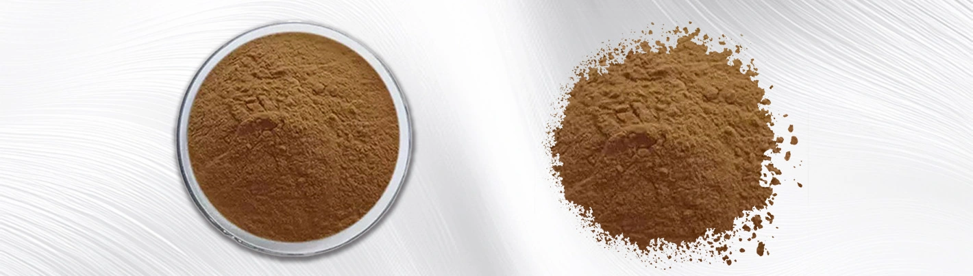 Kacip Fatimah Extract 