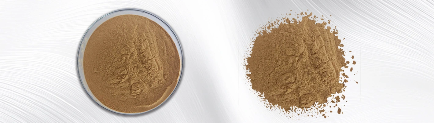 radix rehmanniae extract