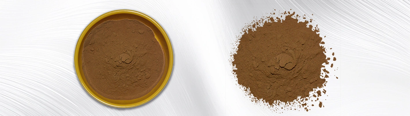 Maca extract powder Maca extract powder