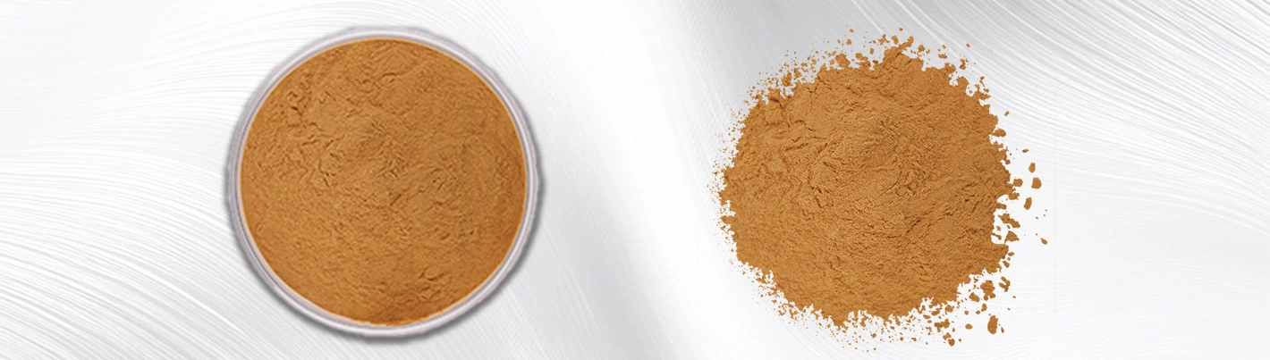 papaya leaf extract powder