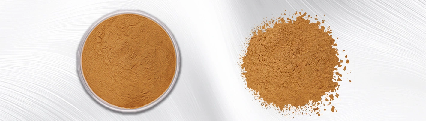 american ginseng extract powder
