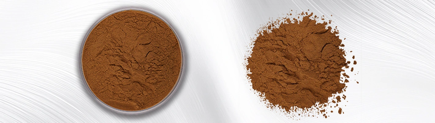 Snow Lotus Powder Snow Lotus Powder