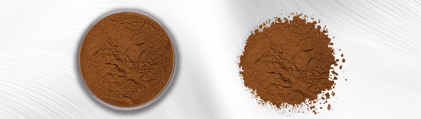 Cape gooseberry powder Cape gooseberry powder