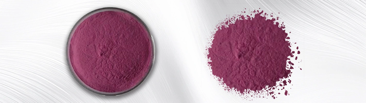 Purple cabbage powder Purple cabbage powder