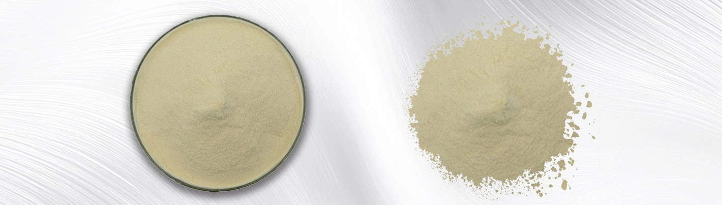 Chinese cabbage powder Chinese cabbage powder