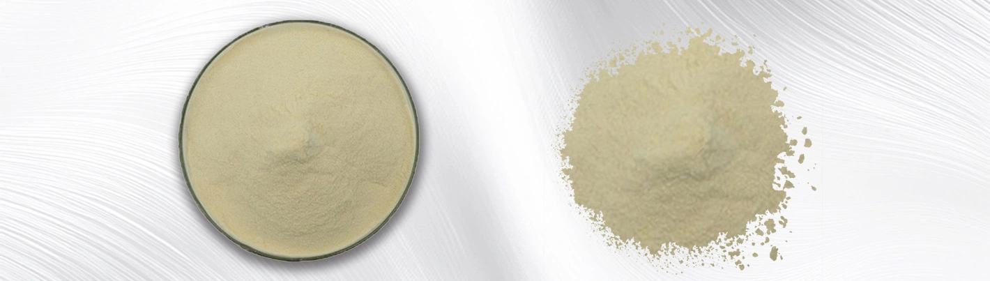 Ginseng fruit powder Ginseng fruit powder