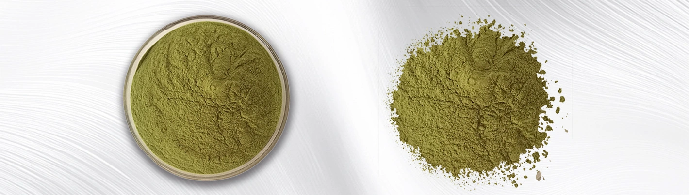 Purple alfalfa juice powder