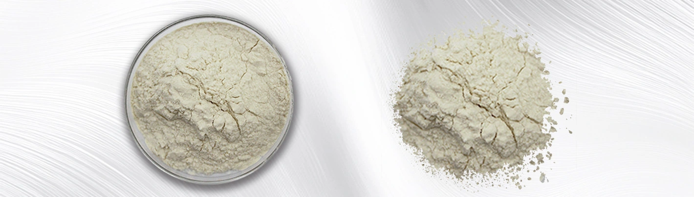 Snow lotus fruit powder Snow lotus fruit powder