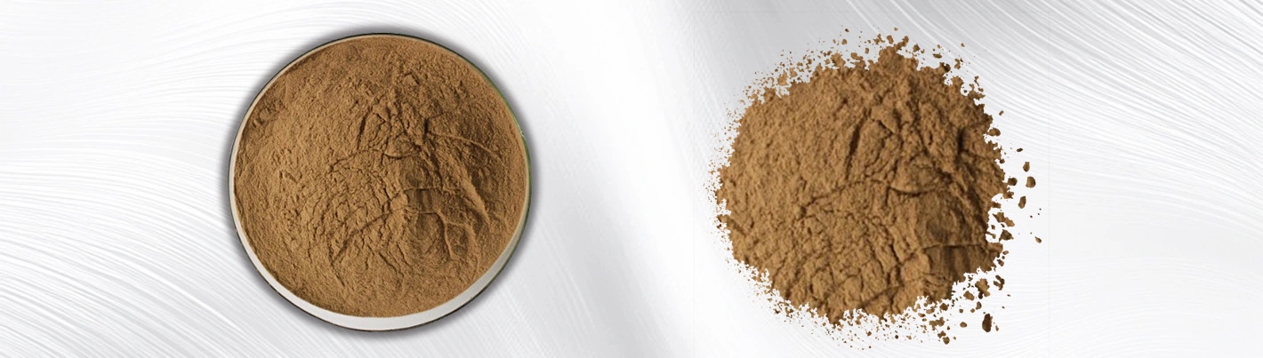 Liposomal Ferrous Glycinate