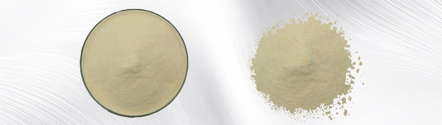 Bovine bone collagen peptide