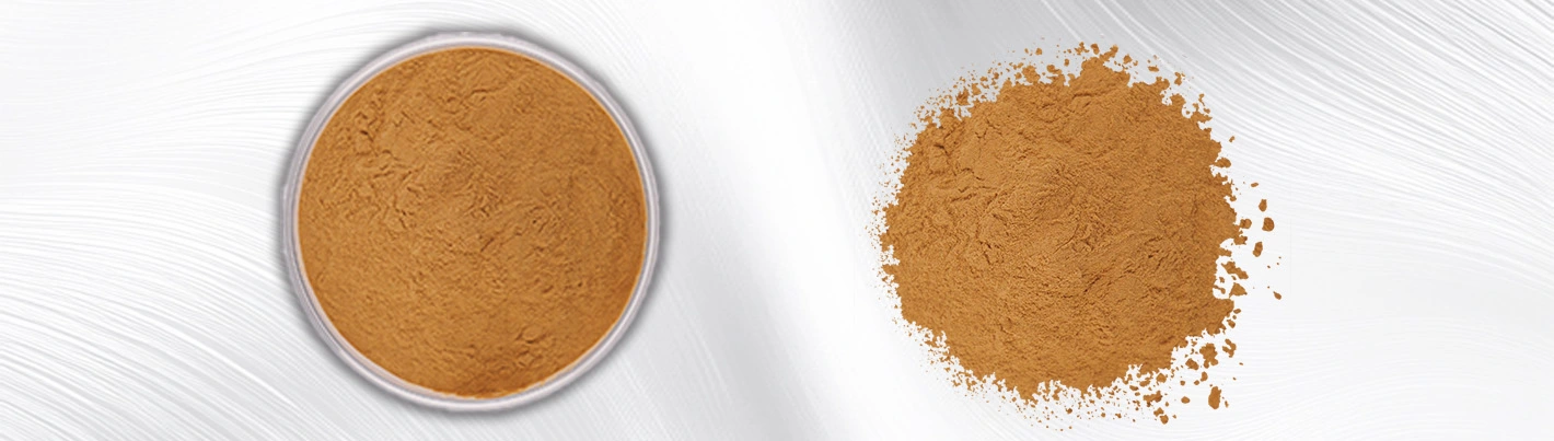 Liposomal Silymarin Liposomal Silymarin