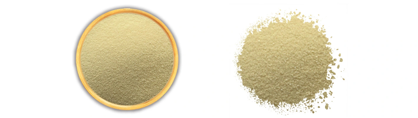 Papaya juice powder Papaya juice powder