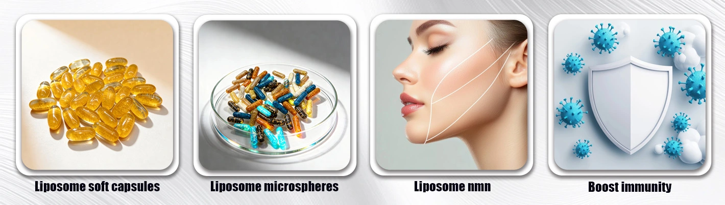 Liposomal Ferrous Fumarate Application Areas Liposomal Ferrous Fumarate Application Areas