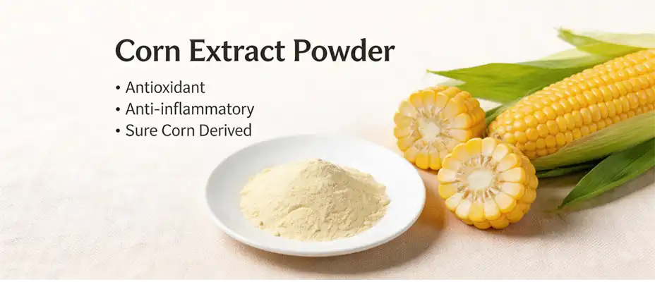 pure corn extract powder pure corn extract powder