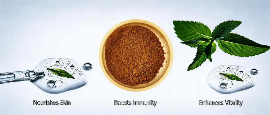 Indian herbal extracts