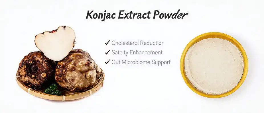 Konjac Flour Extract 