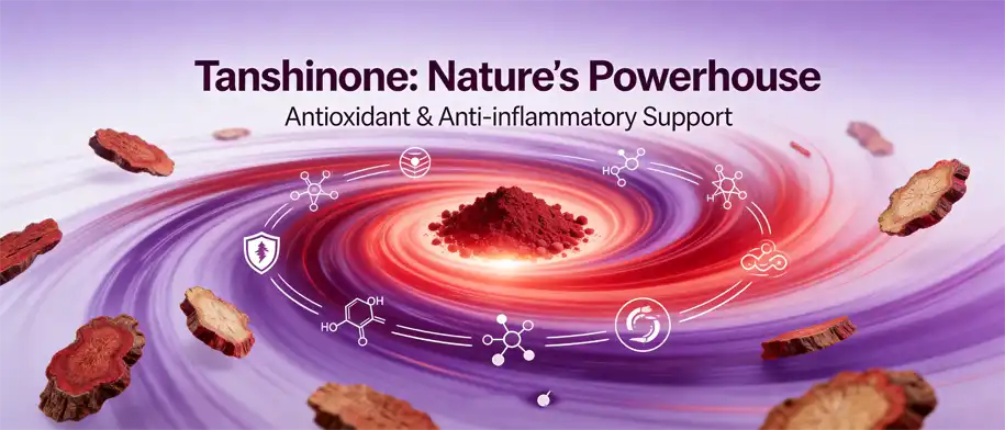 Tanshinone and Danshen Extract Powder