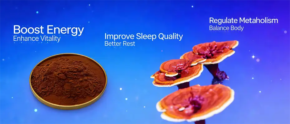 Ganoderma extract powder Ganoderma extract powder