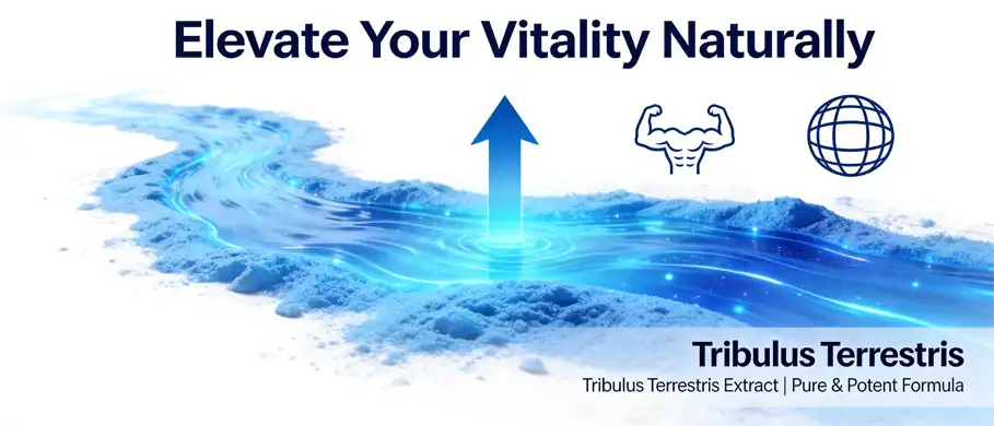 Tribulus terrestris extract powder 
