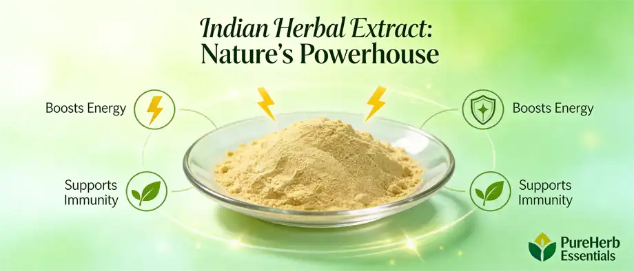  Indian herbal extract 