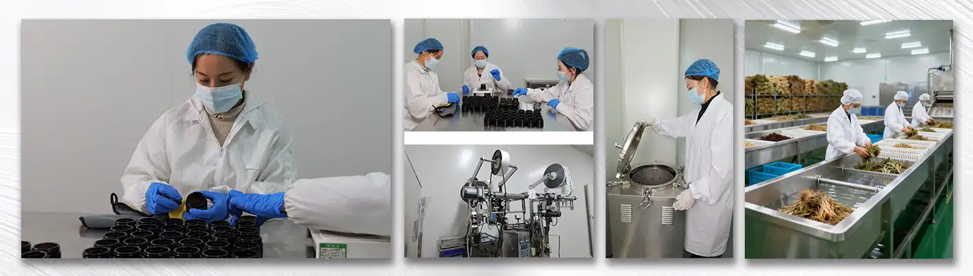 Kacip Fatimah Extract Kacip Fatimah Extract