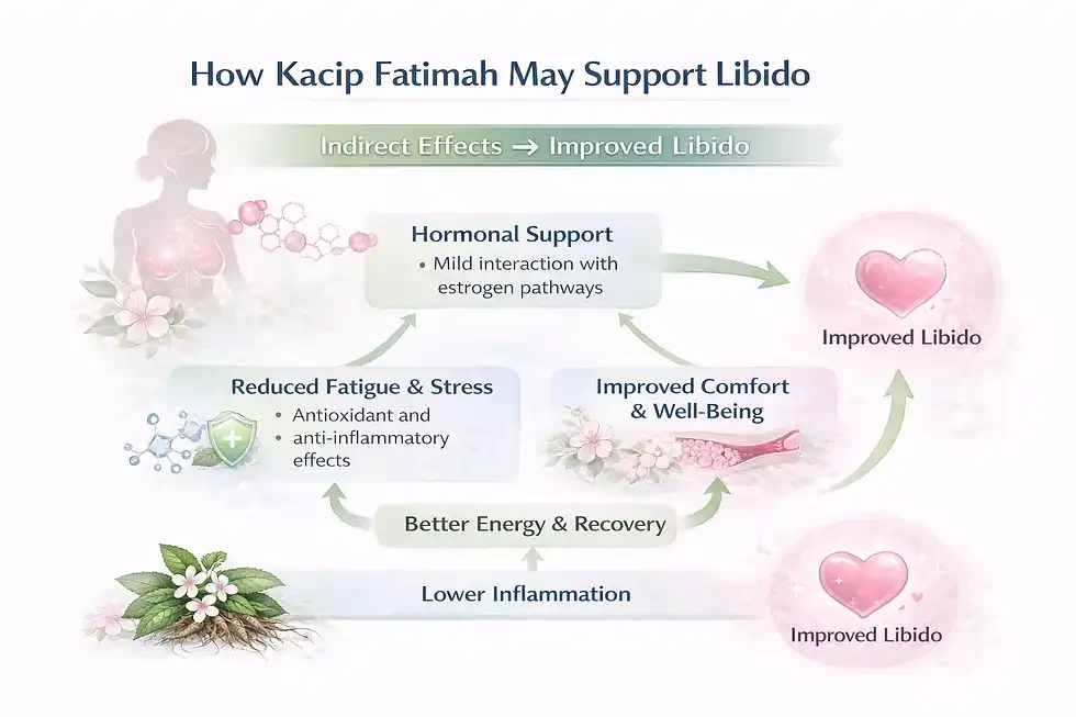 Kacip Fatimah Extract Kacip Fatimah Extract