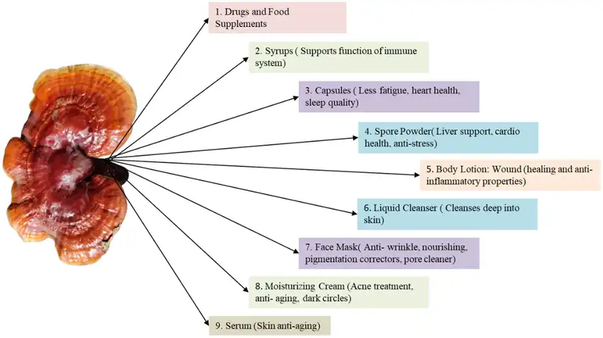 Ganoderma extract powder
