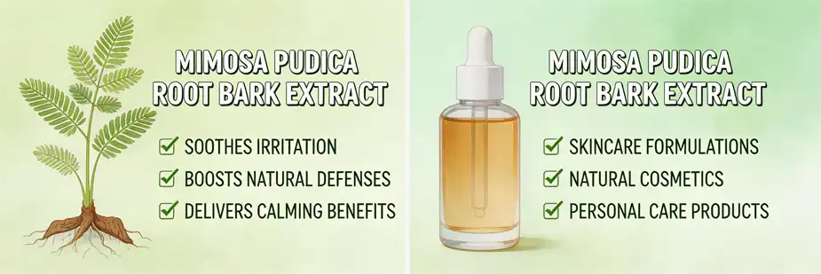 Mimosa Root Bark Extract