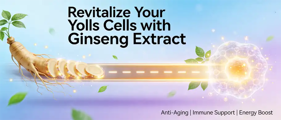 Ginseng plant extract Ginseng plant extract