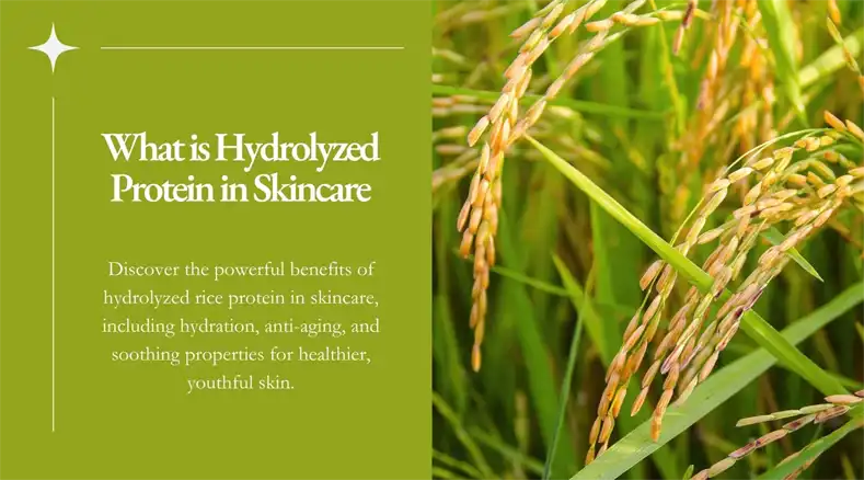  hydrolyzed rice extract