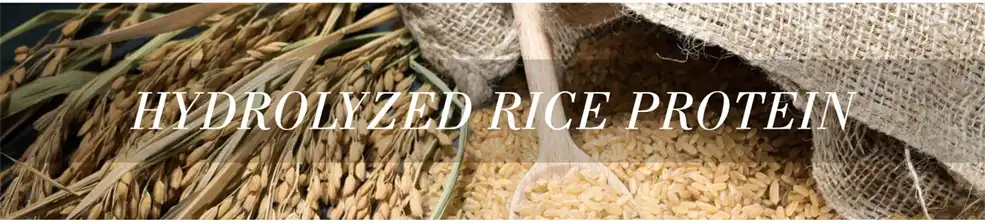 hydrolyzed rice extract
