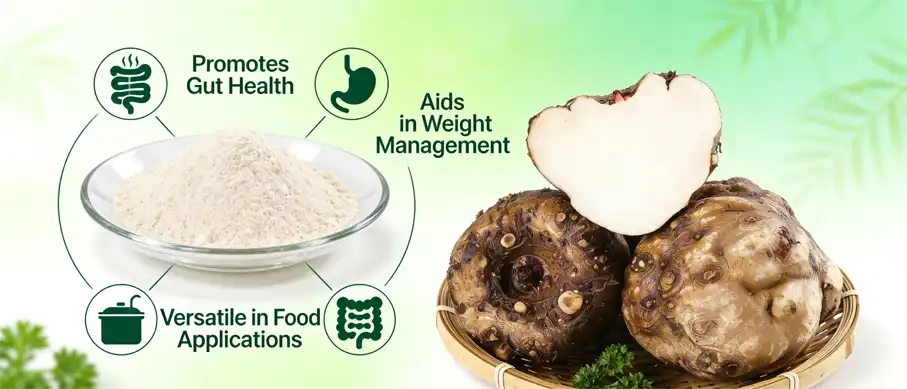 Konjac Flour Extract