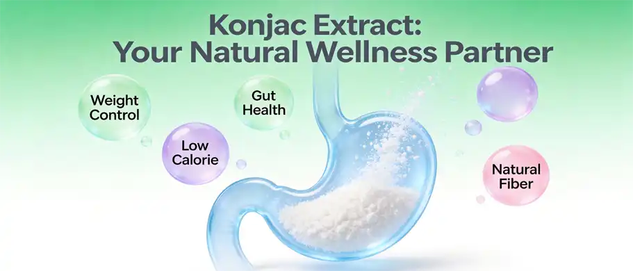 Konjac Flour Extract