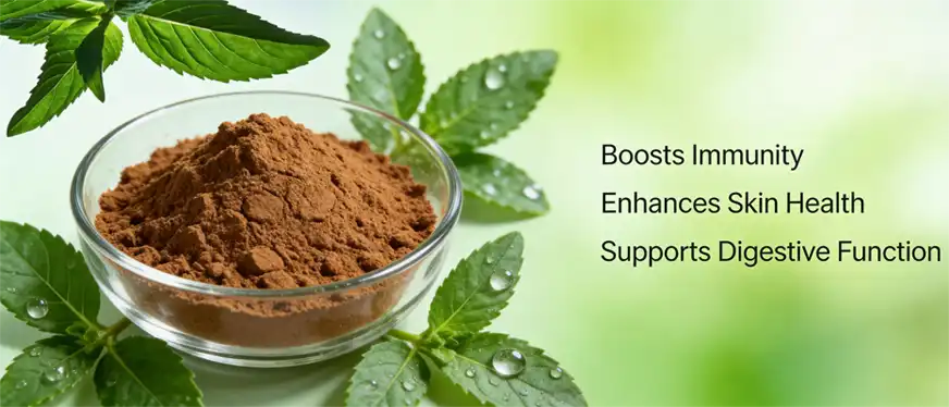 Indian herbal extracts Indian herbal extracts