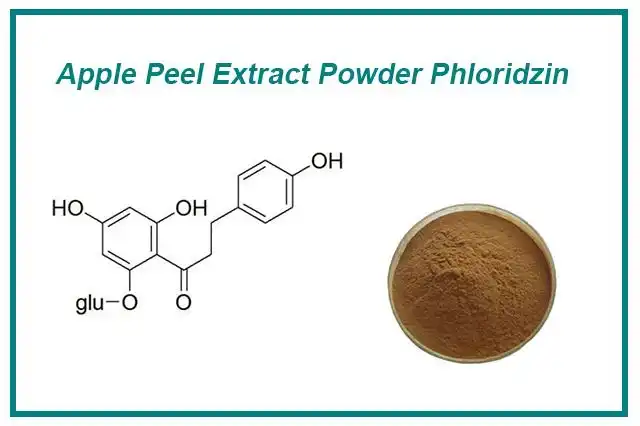 Apple peel extract powder Apple peel extract powder