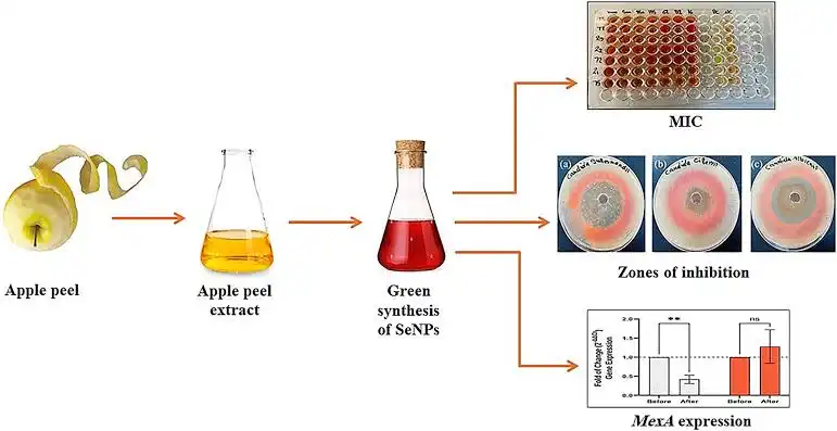 Apple peel extract powder Apple peel extract powder