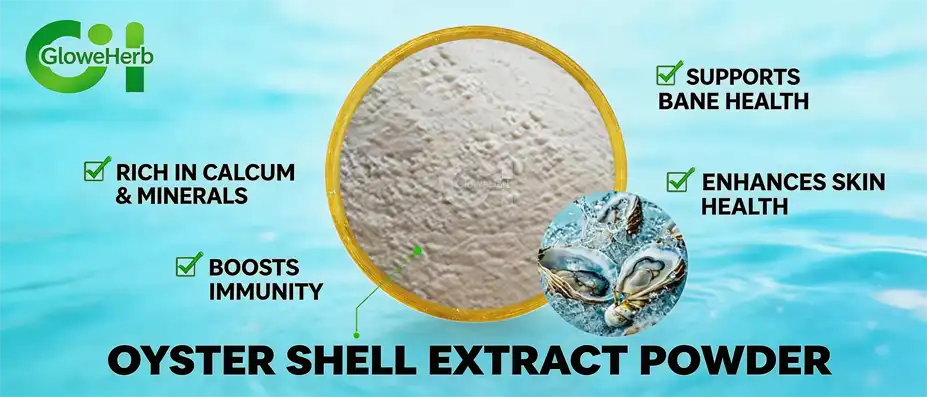 Oyster shell extract powder