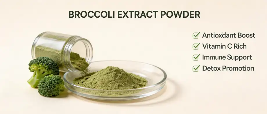 Broccoli extract powder