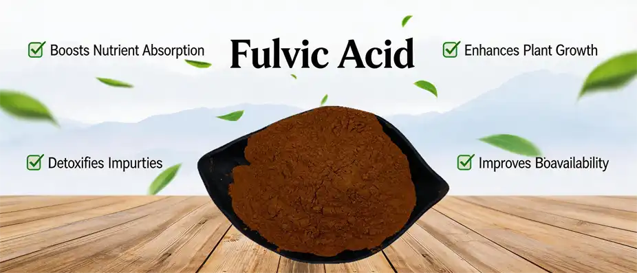 Fulvic Acid Powder Shilajit Extract