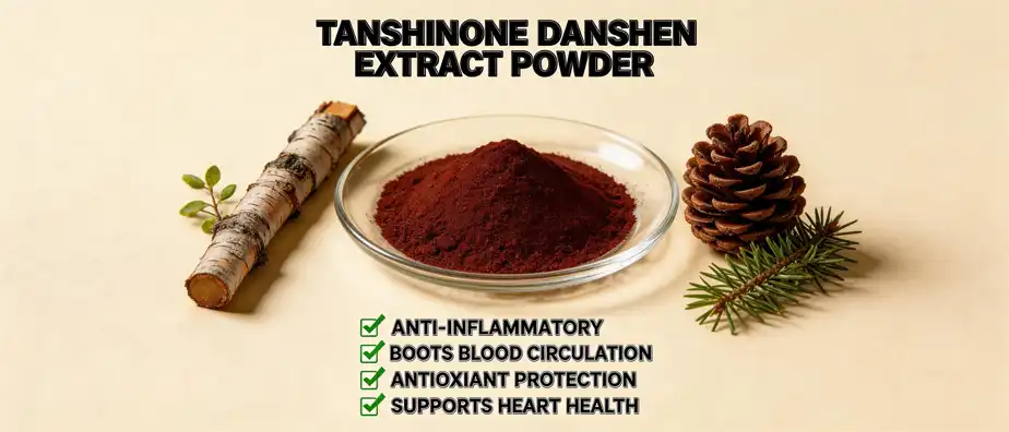Tanshinone Danshen Extract Powder